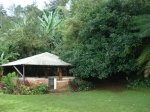 Paysage Orchid's Safari Club