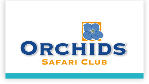 Orchids Safari Club